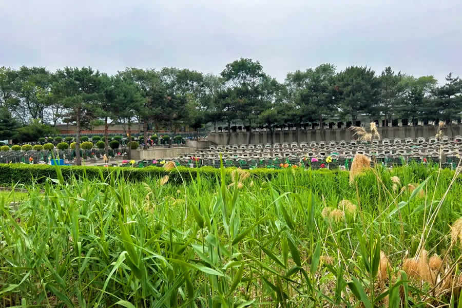 沈阳东山公墓