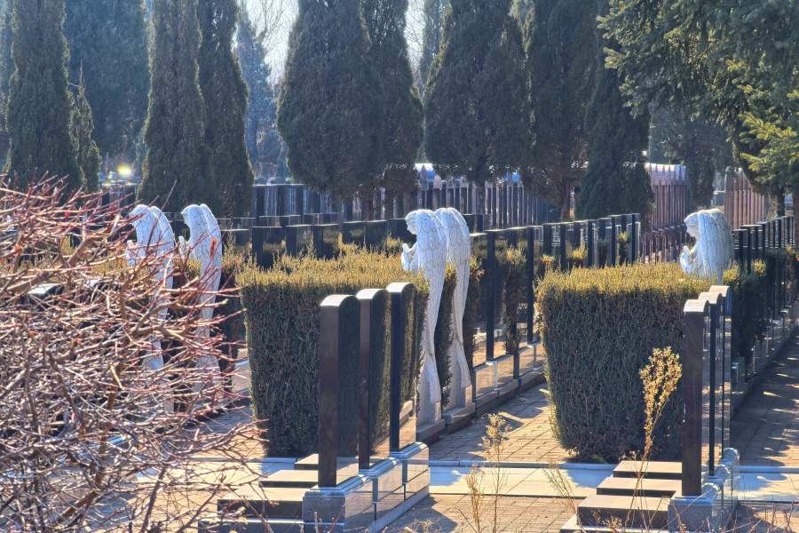 沈阳卧龙墓园