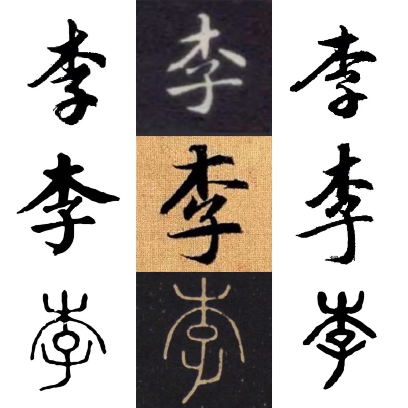 李氏起源 ( 李氏百科 )