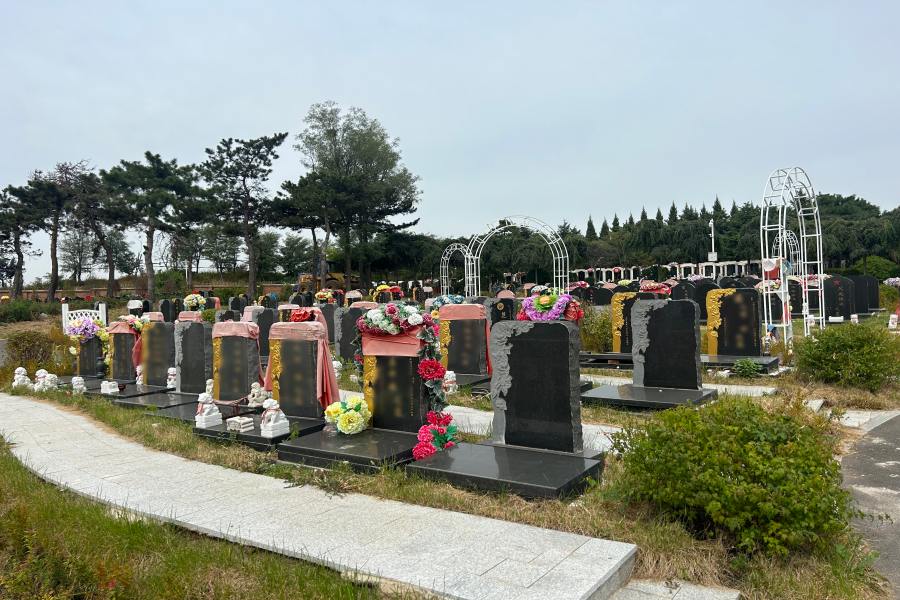 沈阳回龙岗墓园 沈阳回龙岗墓园