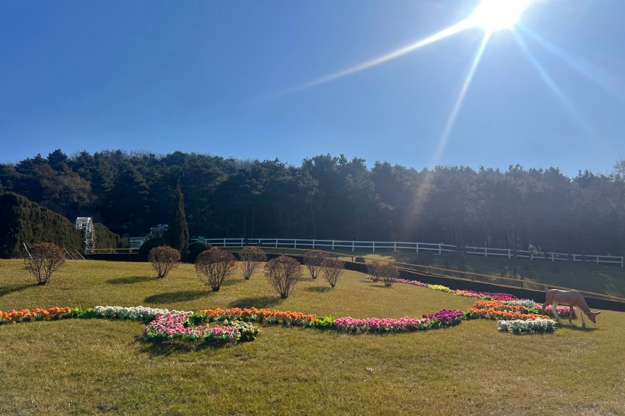 沈阳百贯山墓园 沈阳百贯山墓园