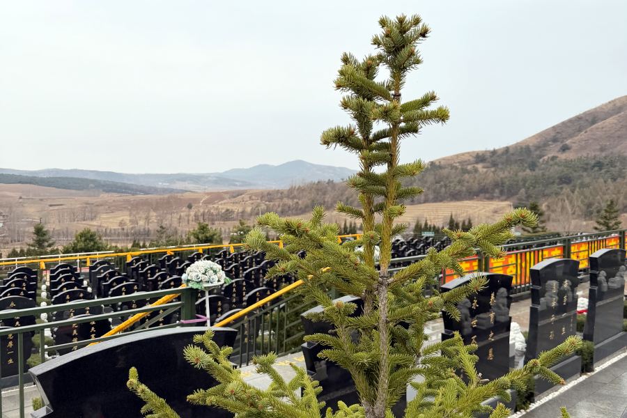 沈阳龙福山墓园