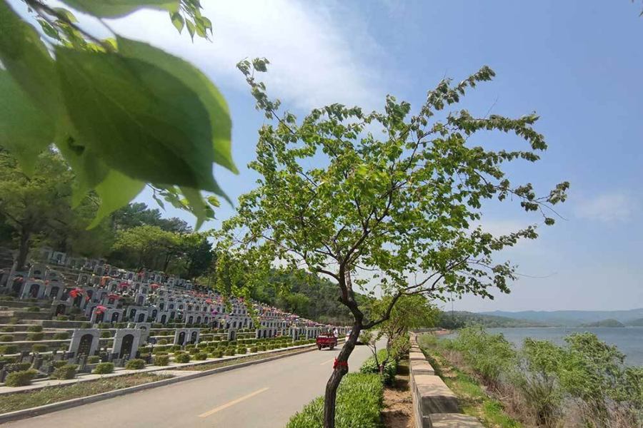 沈阳大河贝墓园 沈阳大河贝墓园