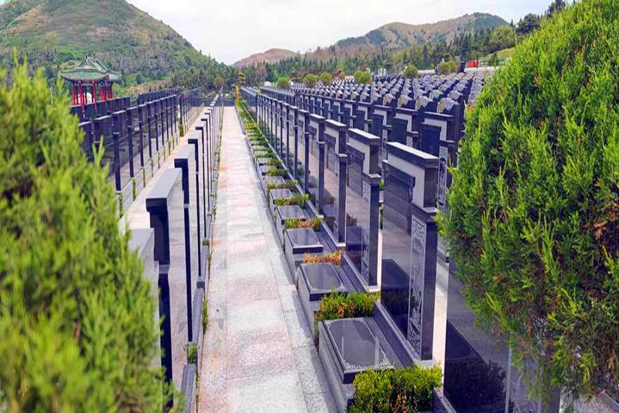沈阳龙福山墓园 沈阳龙福山墓园