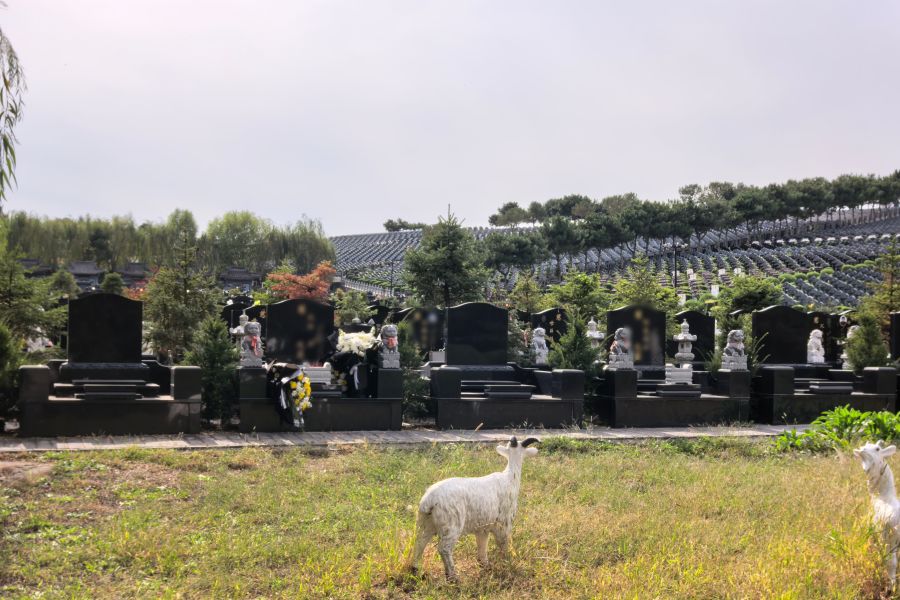 沈阳中华寺墓园